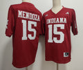 Fernando Mendoza Indiana Hoosiers Jersey - Red